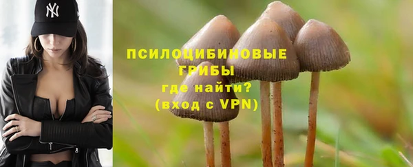экстази Богородицк